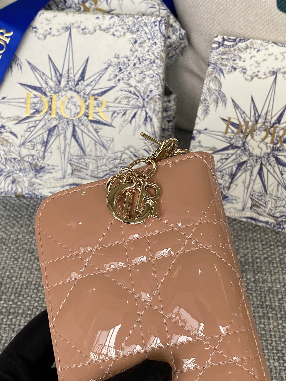 Dragons BagsDiorn Luxury Bag --114689