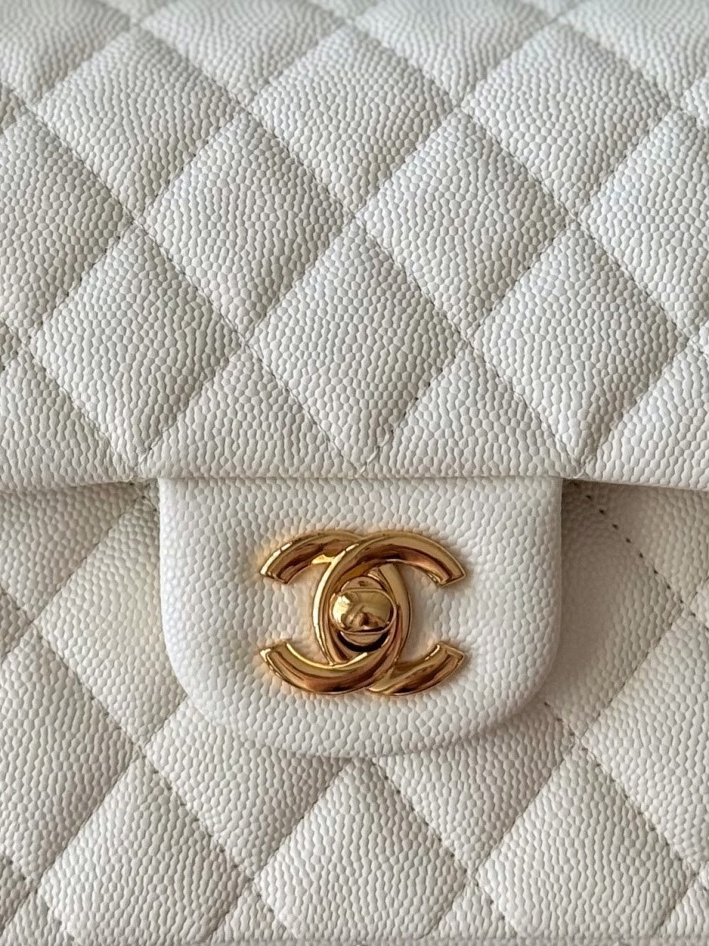 Dragons Bags CHn Luxury Bag --112764