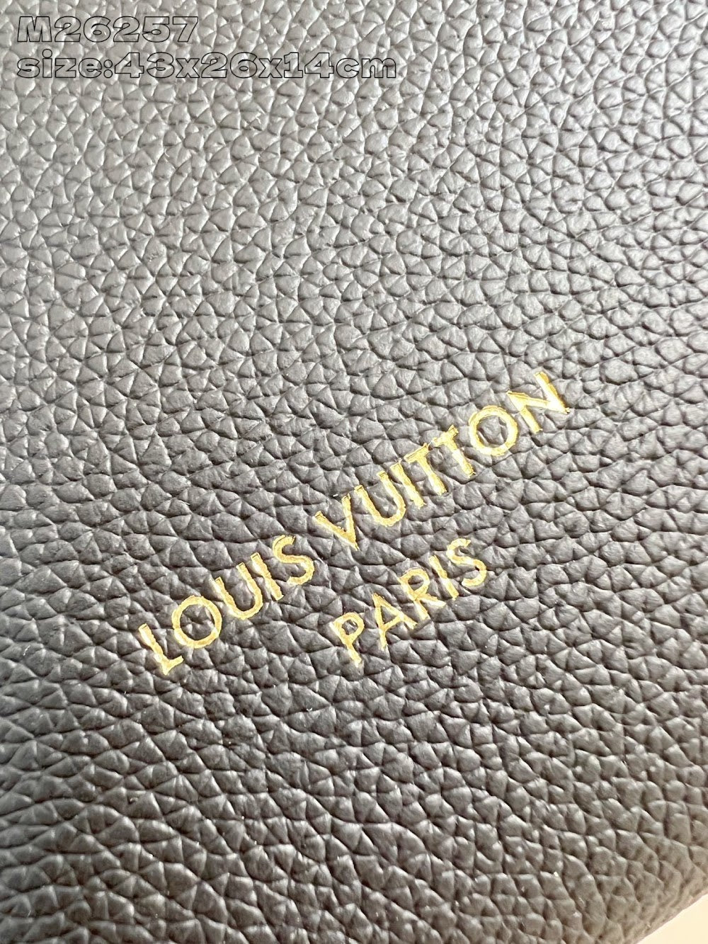 Dragons Bags ln Luxury Bag --95750