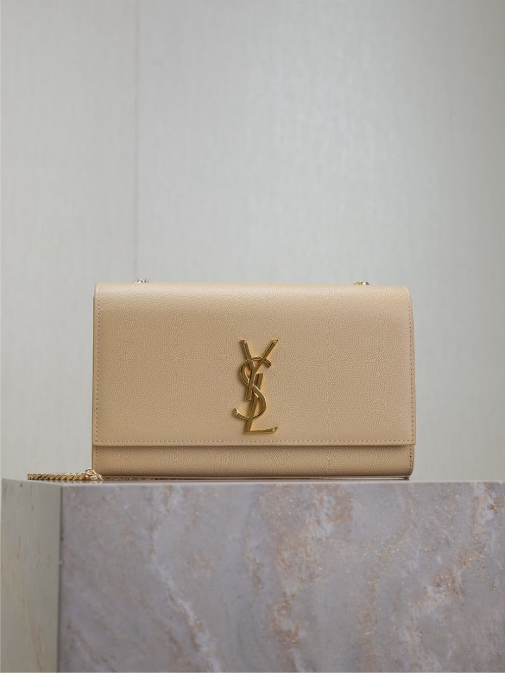 Dragons Bags YSLn Luxury Bag --120537