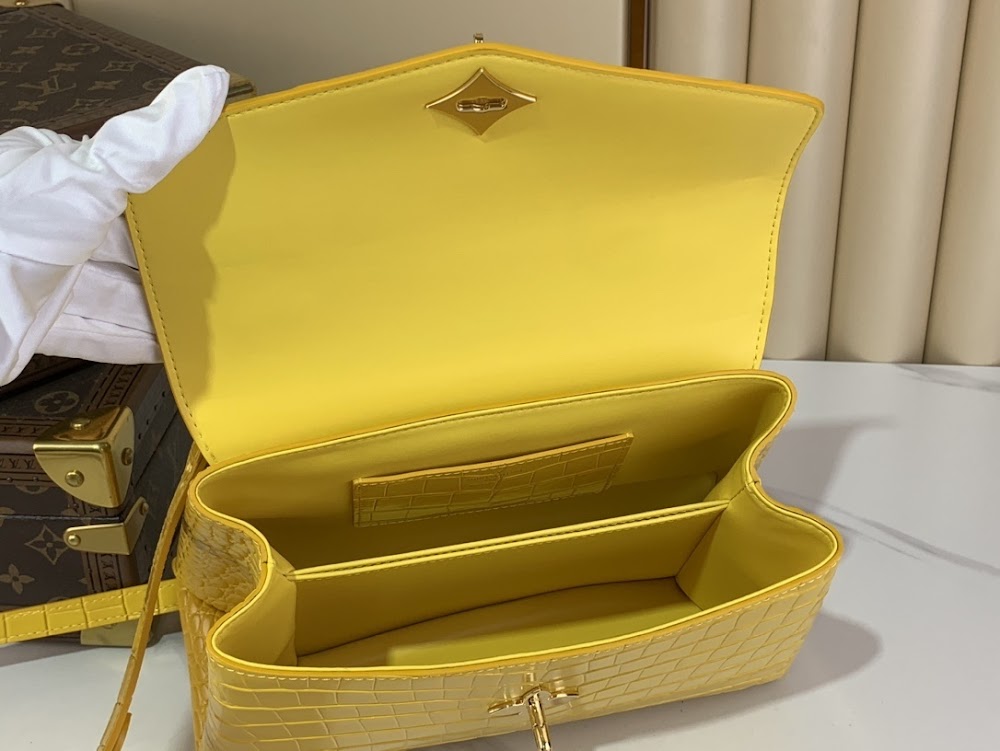 Dragons Bags ln Luxury Bag --62651