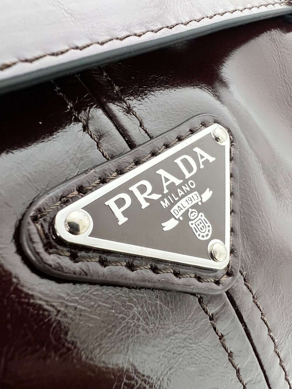 Dragons Bags Pradn Luxury Bag --102431