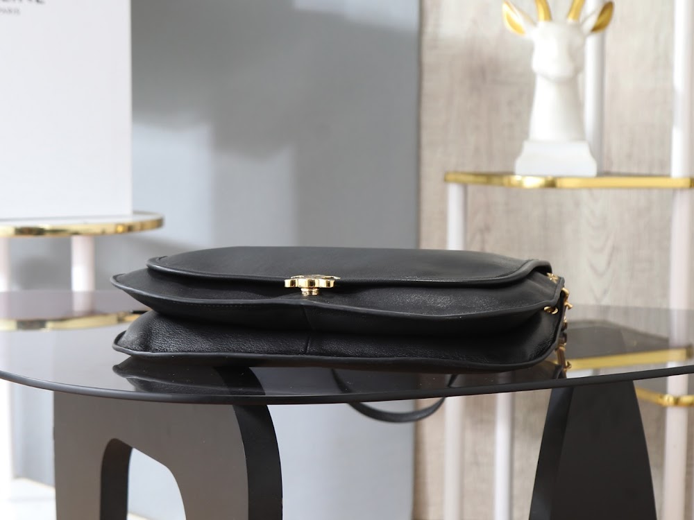 Dragons Bags Celine Luxury Bag --112543