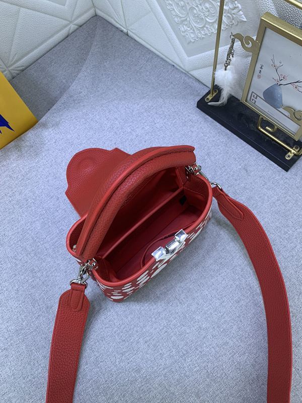 Dragons Bags LVn Luxury Bag --79312