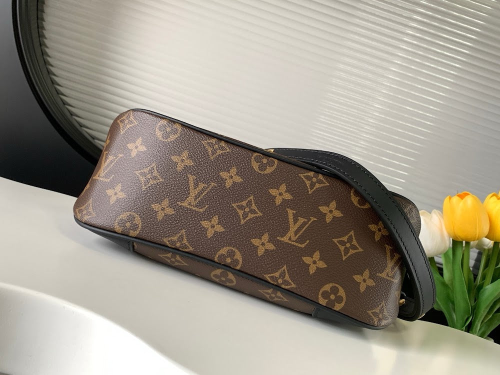 Dragons Bags ln Luxury Bag --81791