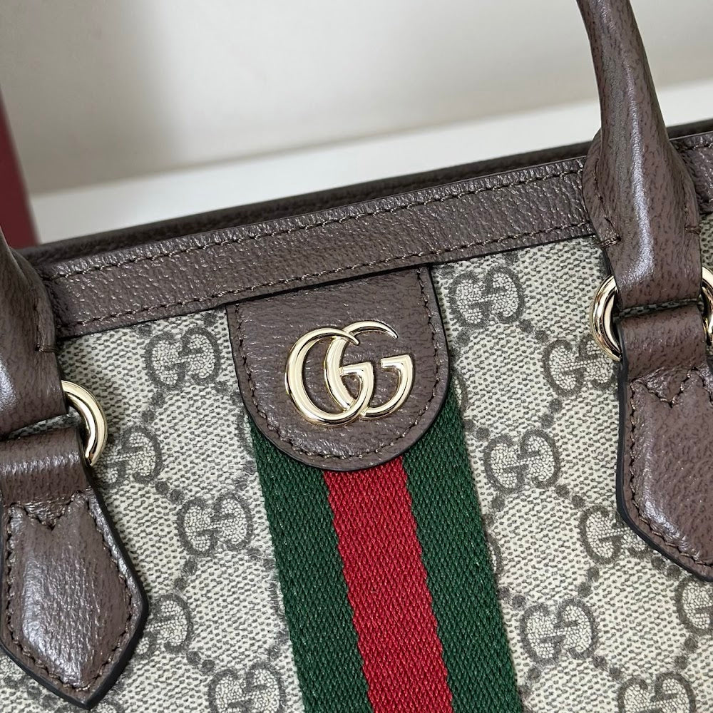 Dragons Bags Guccin Luxury Bag --95361