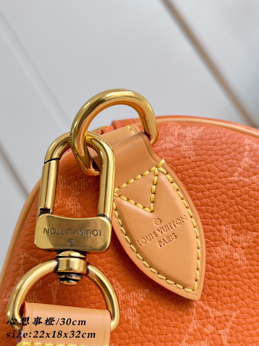 Dragons Bags ln Luxury Bag --96532