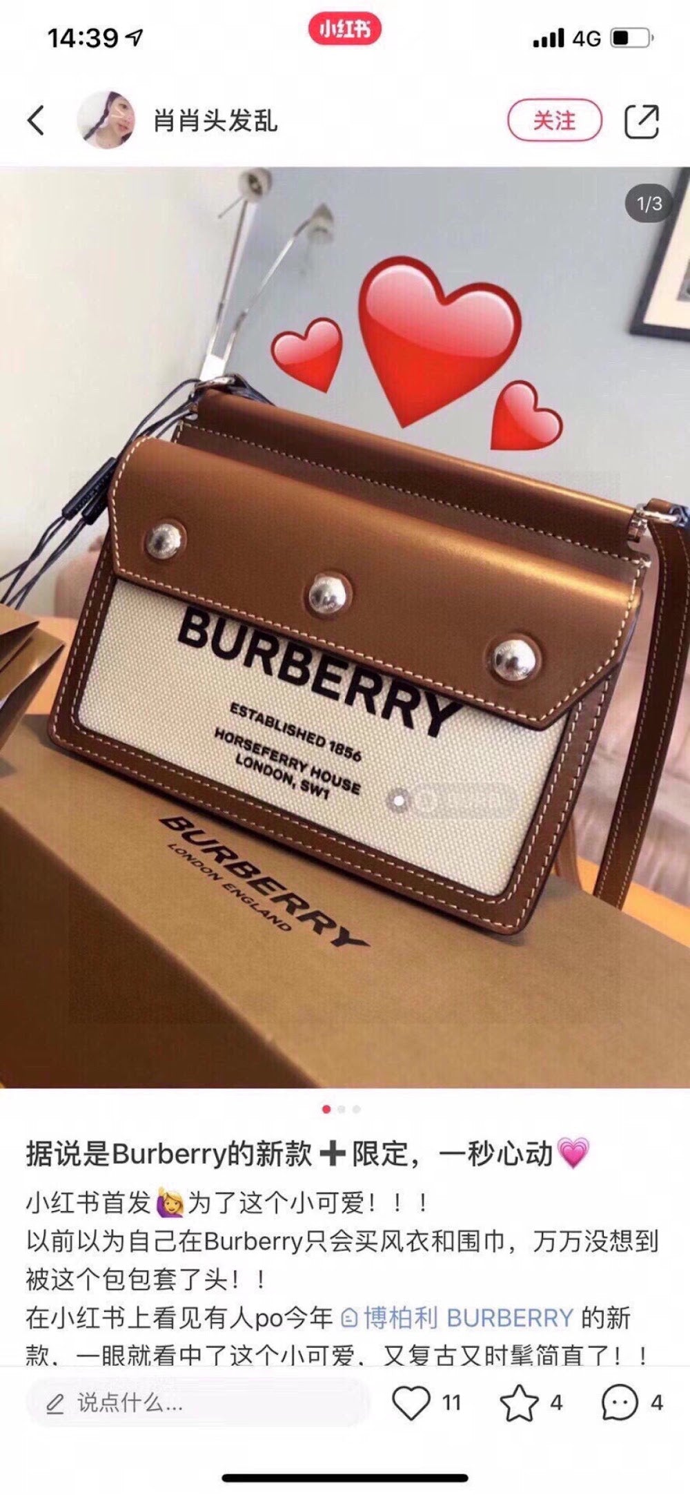 Dragons Bags Burberryn Luxury Bag --91702