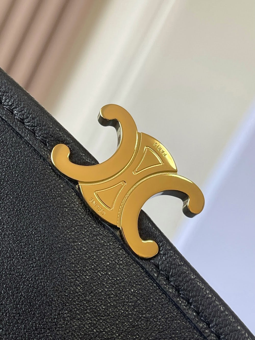Dragons Bags Celine Luxury Bag --112649