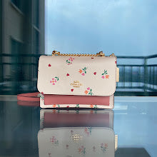 new-designer-premium-bags-nm6377
