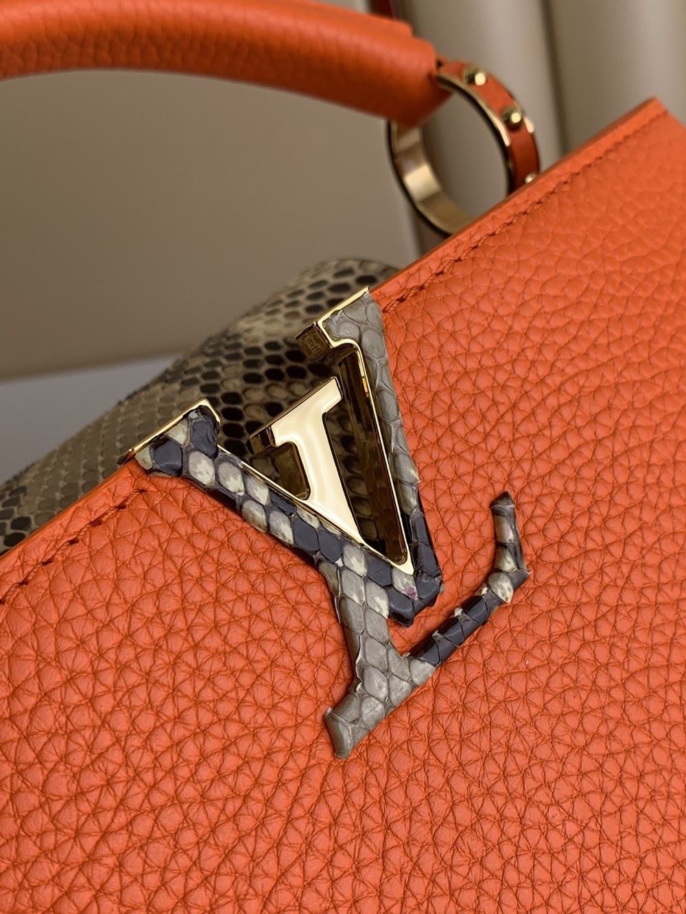 Dragons Bags ln Luxury Bag --56394