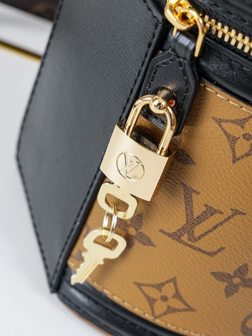 Dragons Bags LVn Luxury Bag --79781