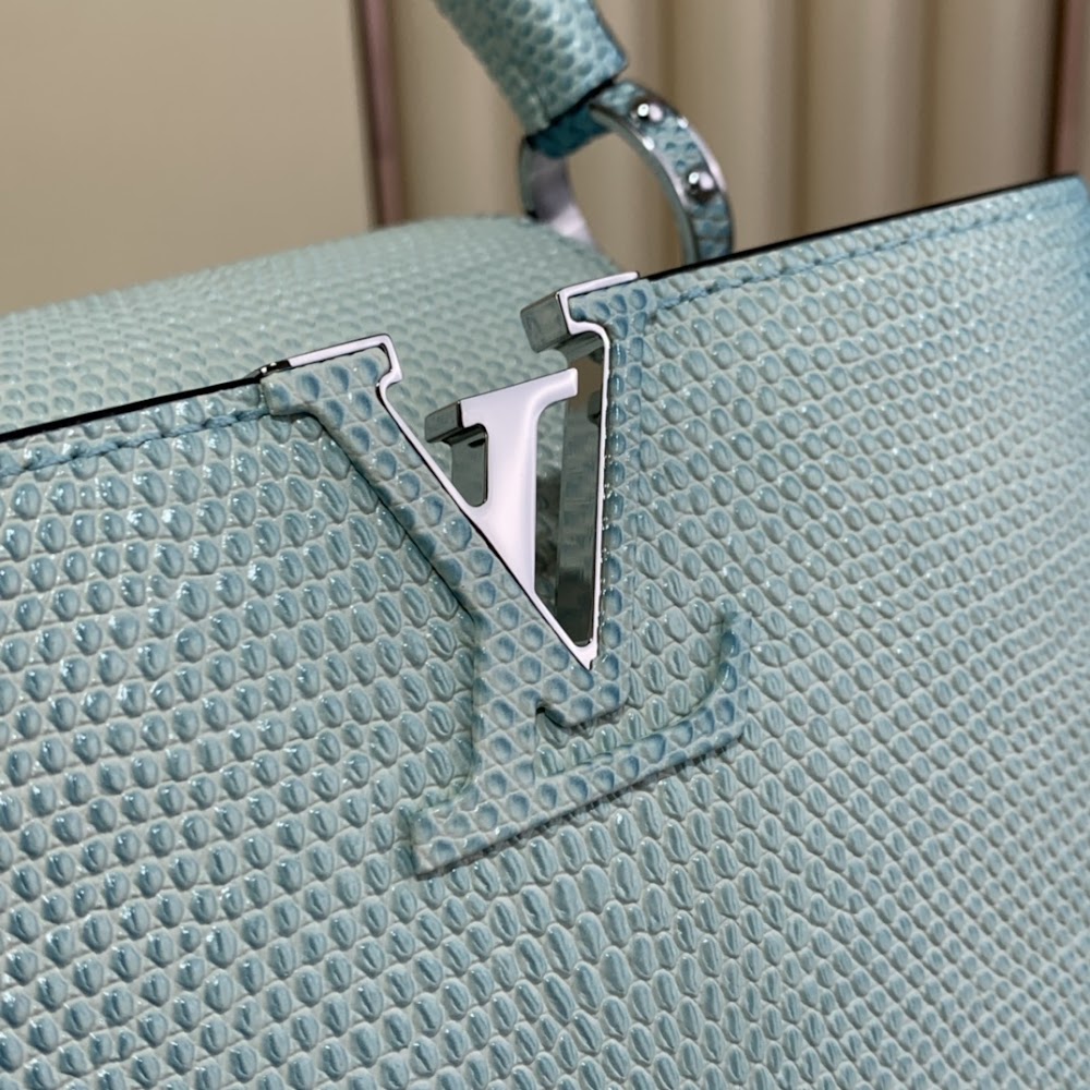 Dragons Bags ln Luxury Bag --67378