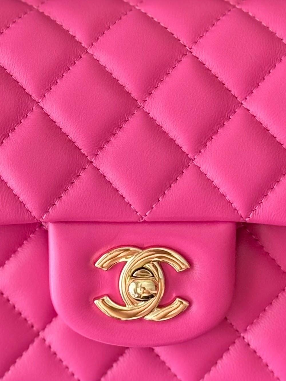 Dragons Bags CHn Luxury Bag --113059