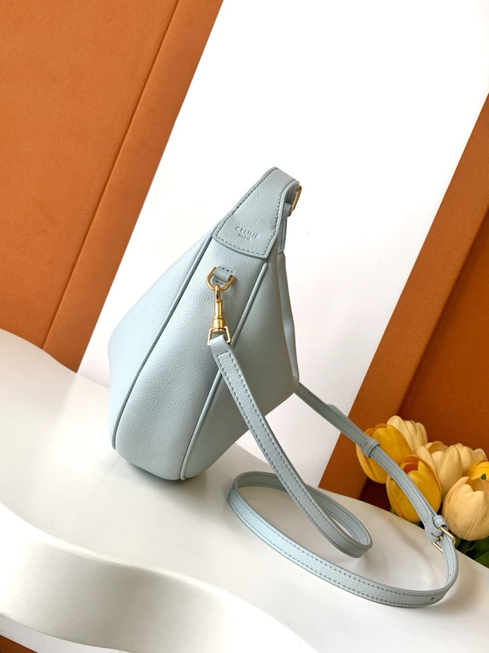 Dragons Bags Celine Luxury Bag --112075