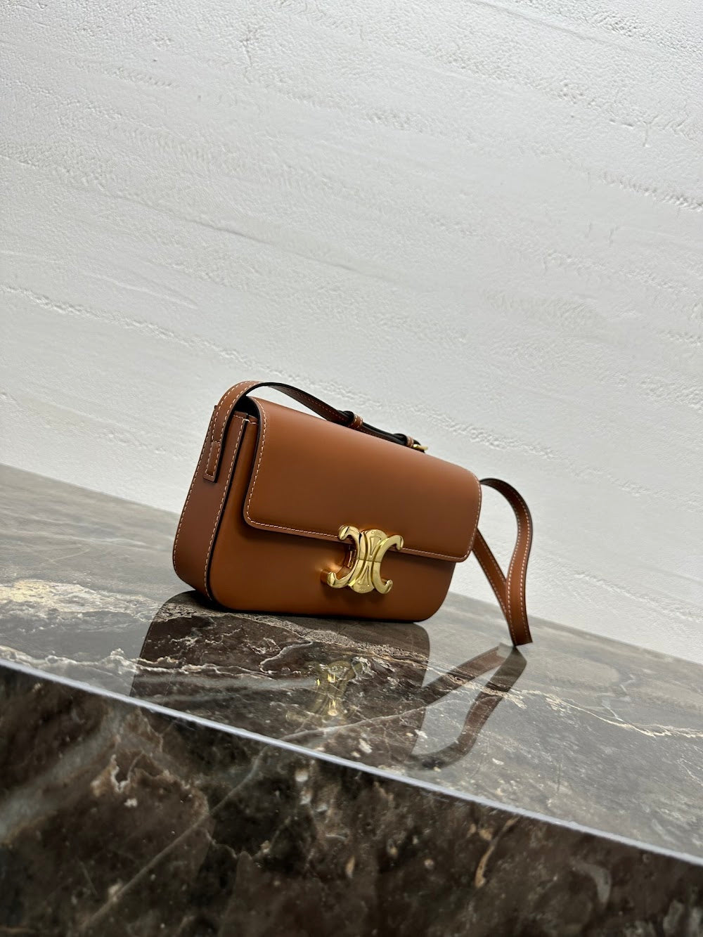 Dragons Bags Celine Luxury Bag --112423