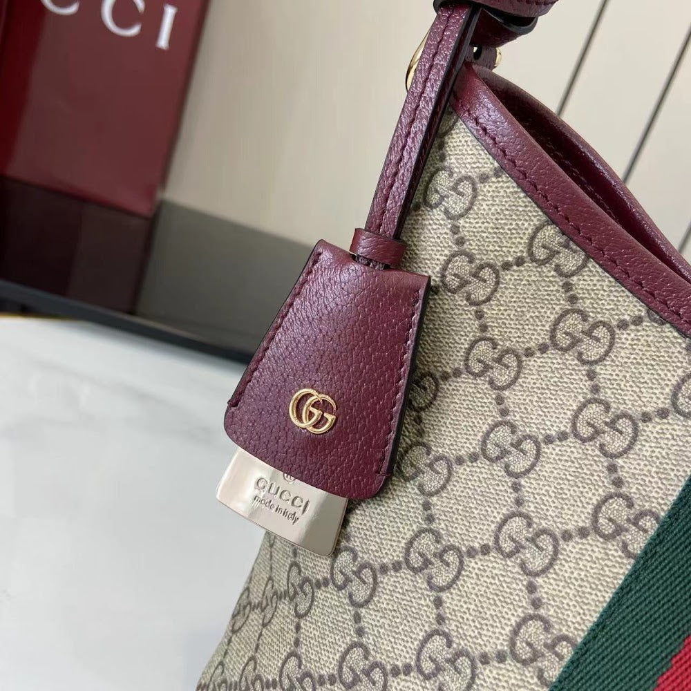 Dragons Bags Guccin Luxury Bag --94767