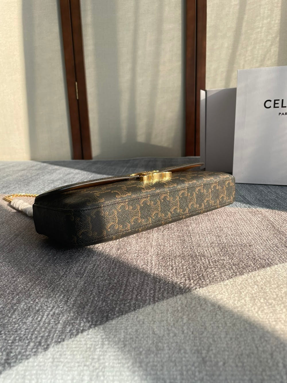 Dragons Bags Celine Luxury Bag --112258