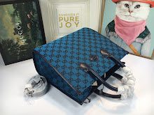 new-luxury-designer-bags-nm8690