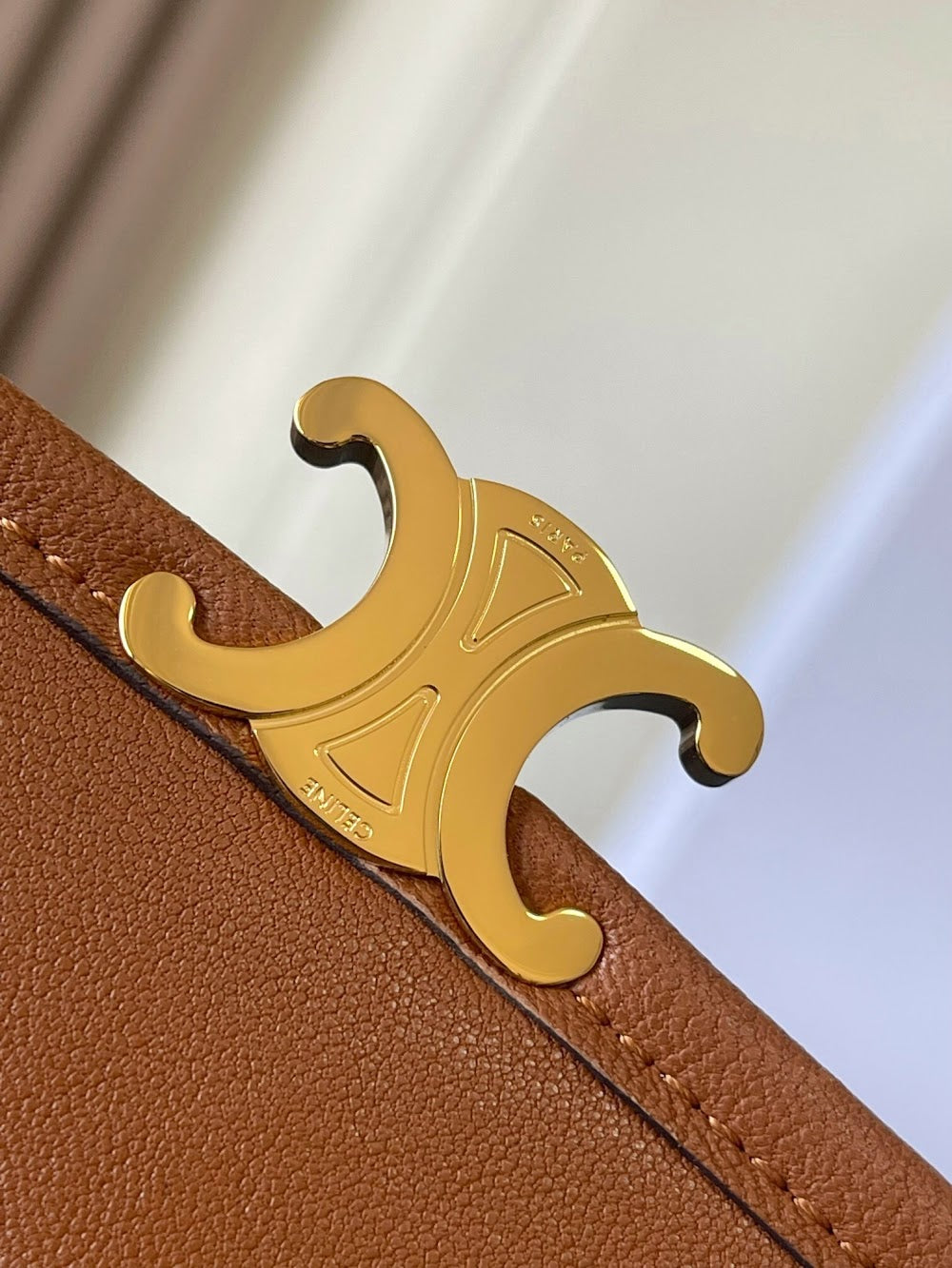 Dragons Bags Celine Luxury Bag --112650