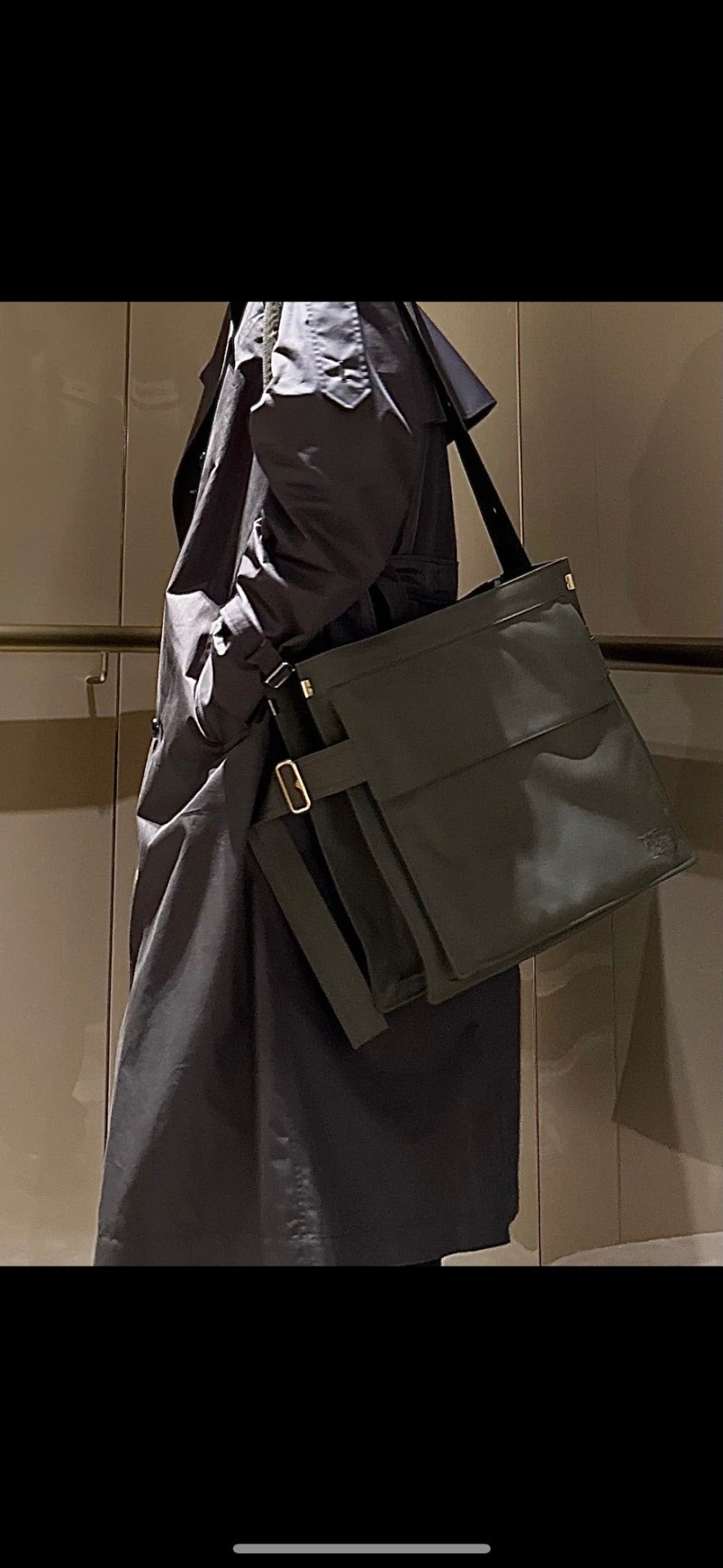 Dragons Bags Burberryn Luxury Bag --93095