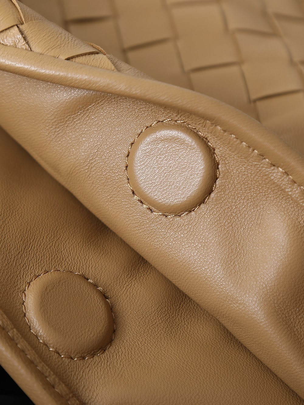 Dragons Bags Bottegan Luxury Bag --91379