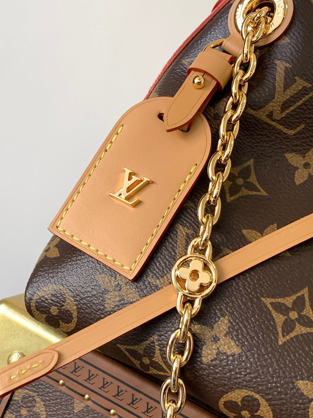 Dragons Bags ln Luxury Bag --81662