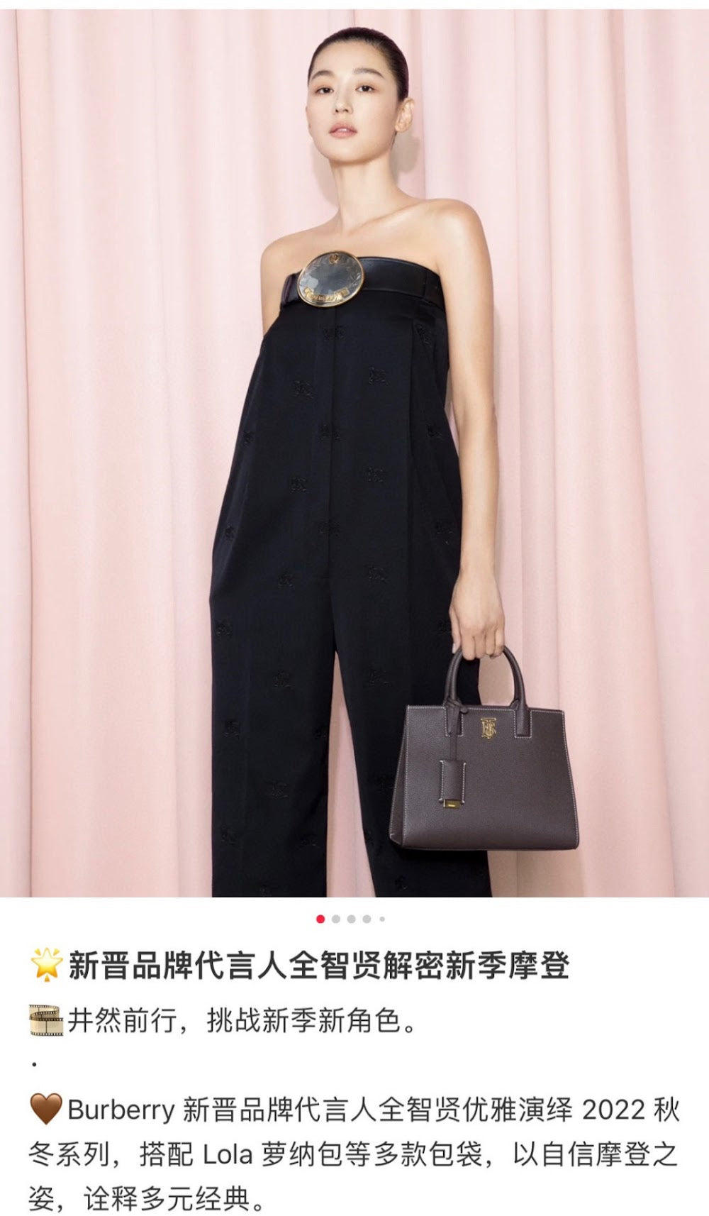 Dragons Bags Burberryn Luxury Bag --91692