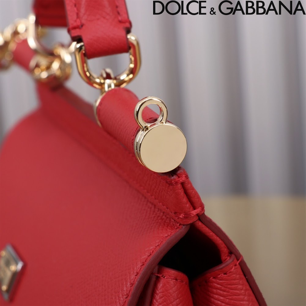 Dragons Bags DGn Luxury Bag --93627