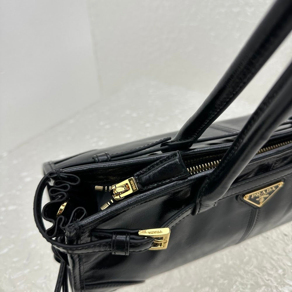 Dragons Bags Pradn Luxury Bag --102002