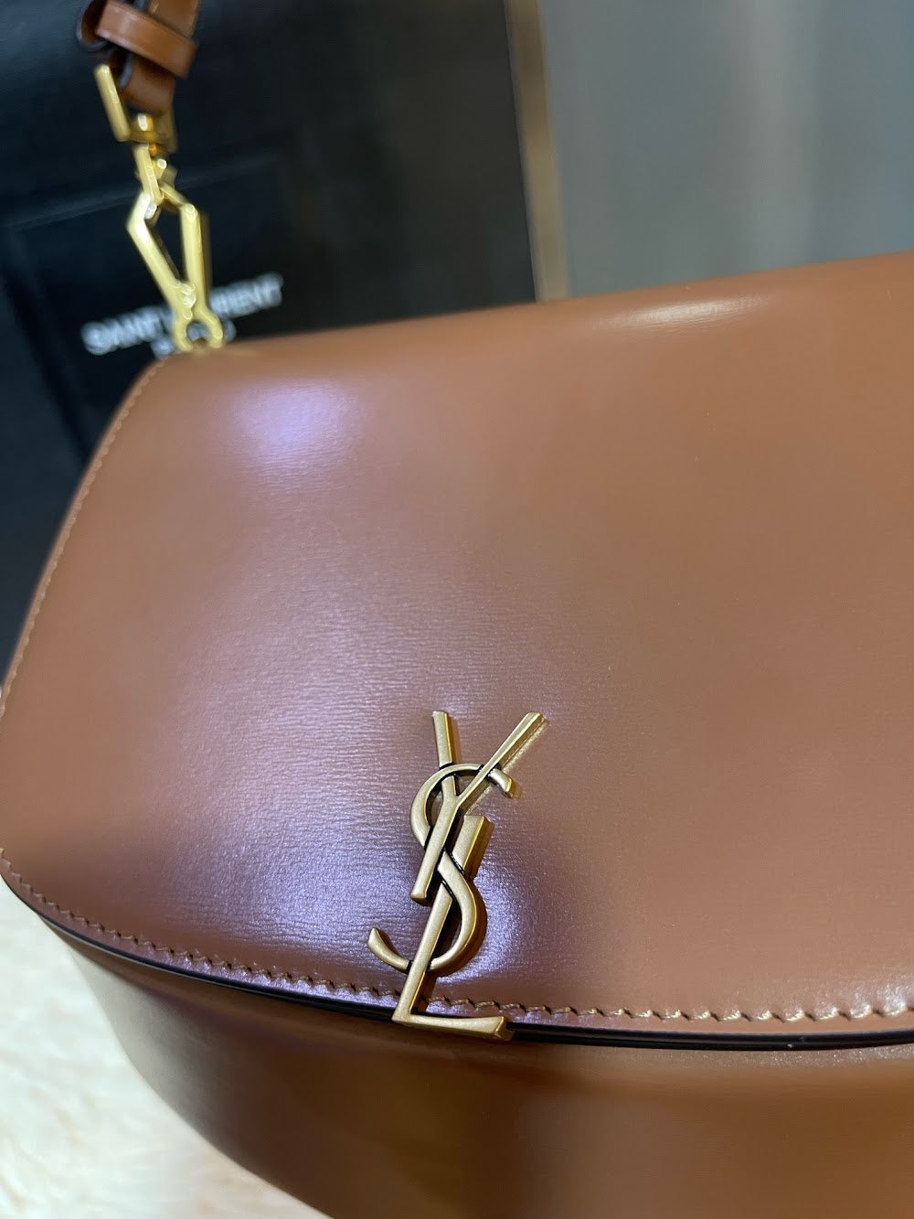 Dragons Bags YSLn Luxury Bag --119126