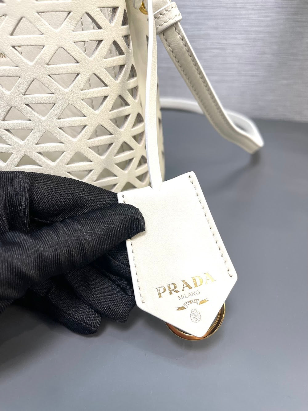 Dragons Bags Pradn Luxury Bag --101980
