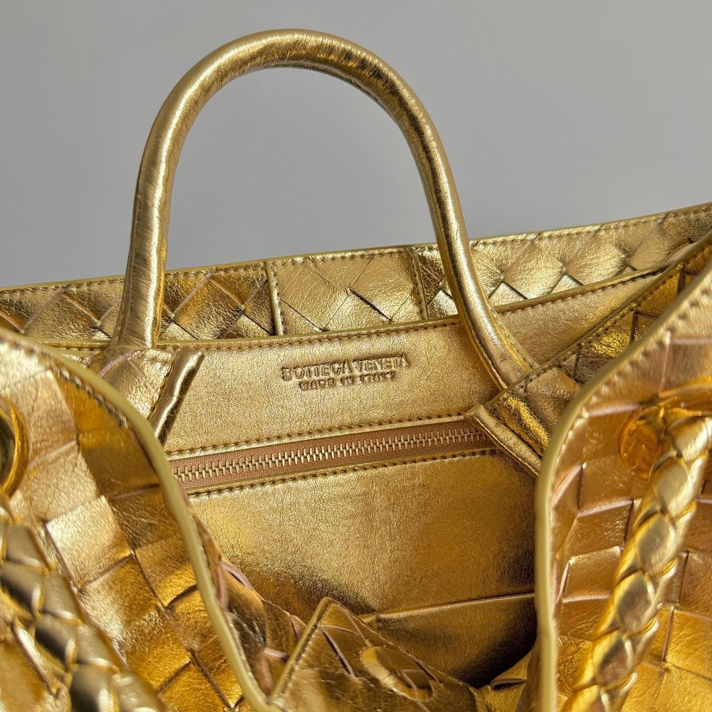 Dragons Bags Bottegan Luxury Bag --91311