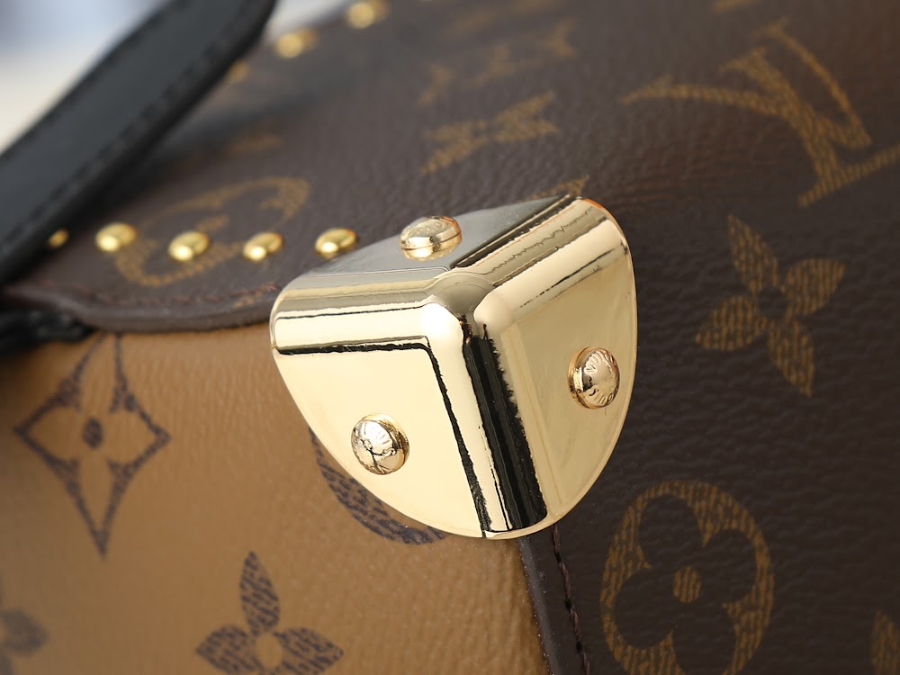 Dragons Bags ln Luxury Bag --77818