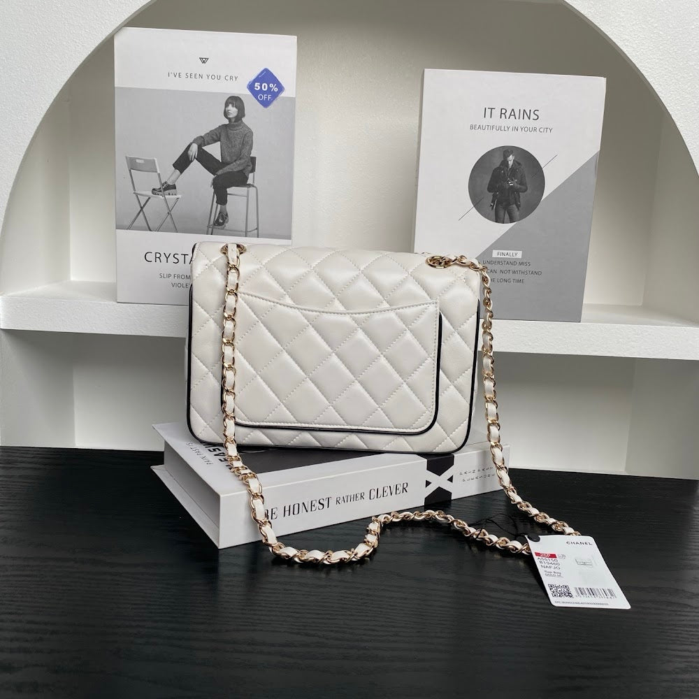 new-luxury-designer-bags-nm10286
