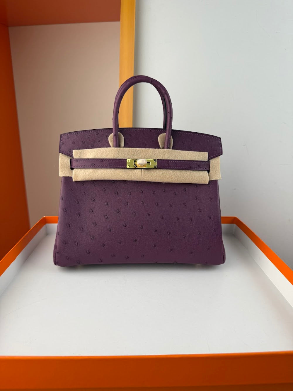 Dragons BagsHermesn Luxury Bag --116761
