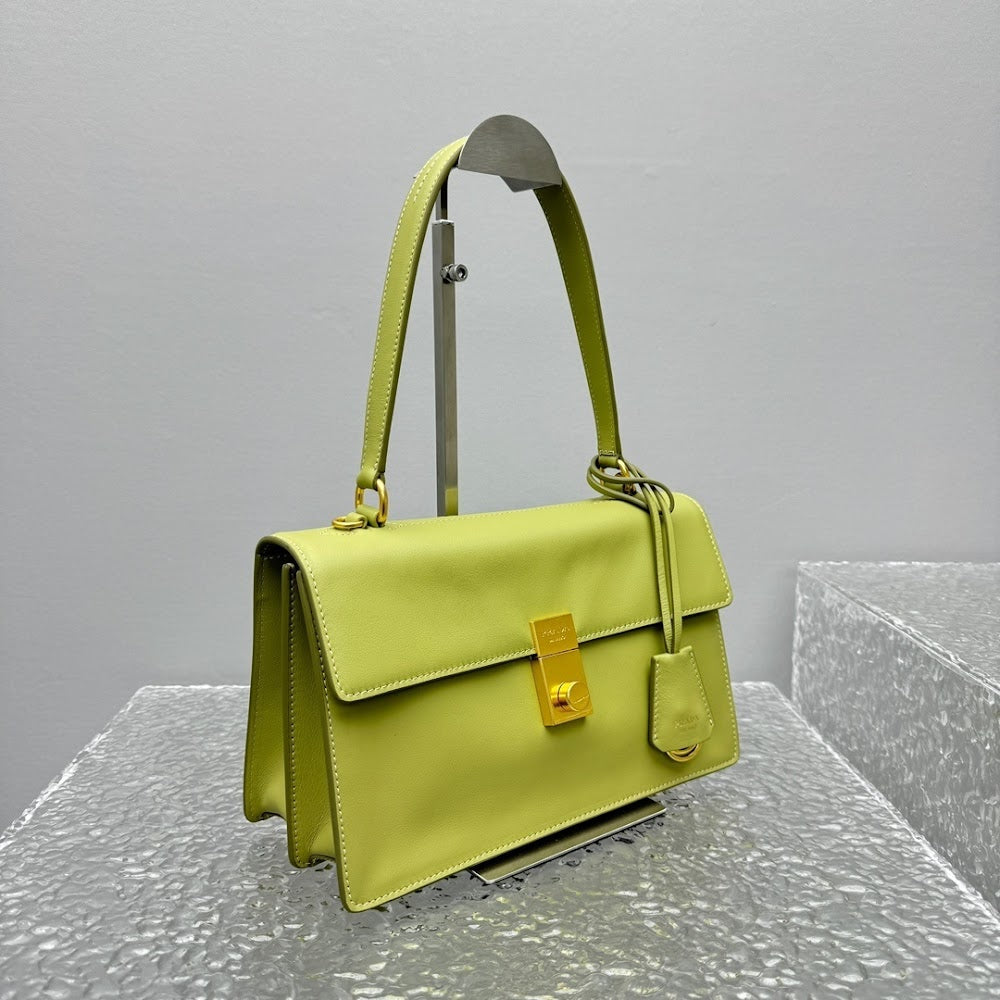 Dragons Bags Pradn Luxury Bag --101808