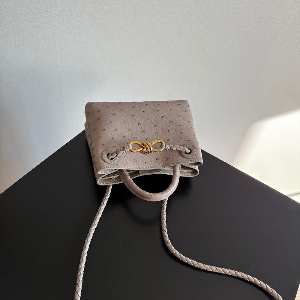 Dragons Bags Bottegan Luxury Bag --91318