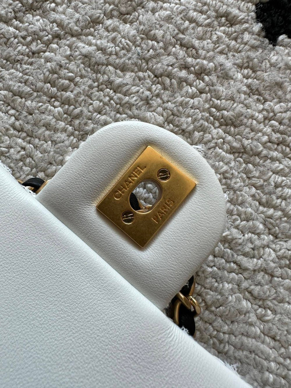 Dragons Bags CHn Luxury Bag --112721