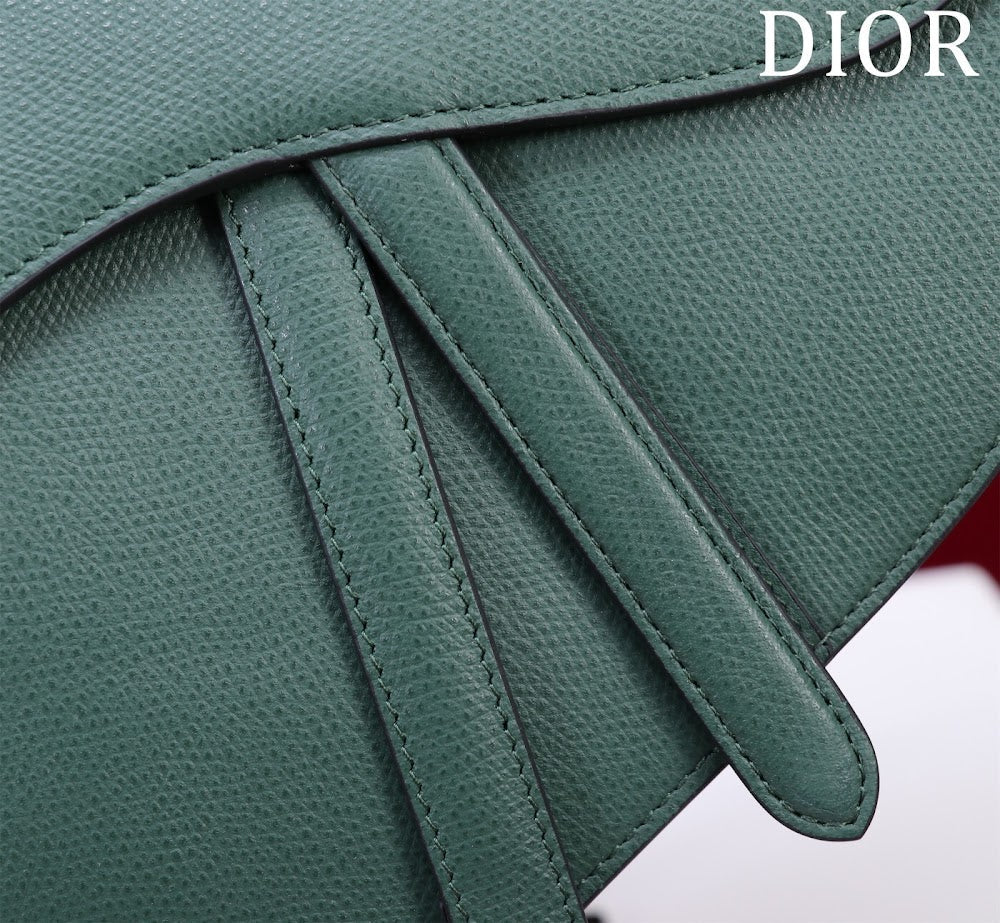 Dragons BagsDiorn Luxury Bag --116529