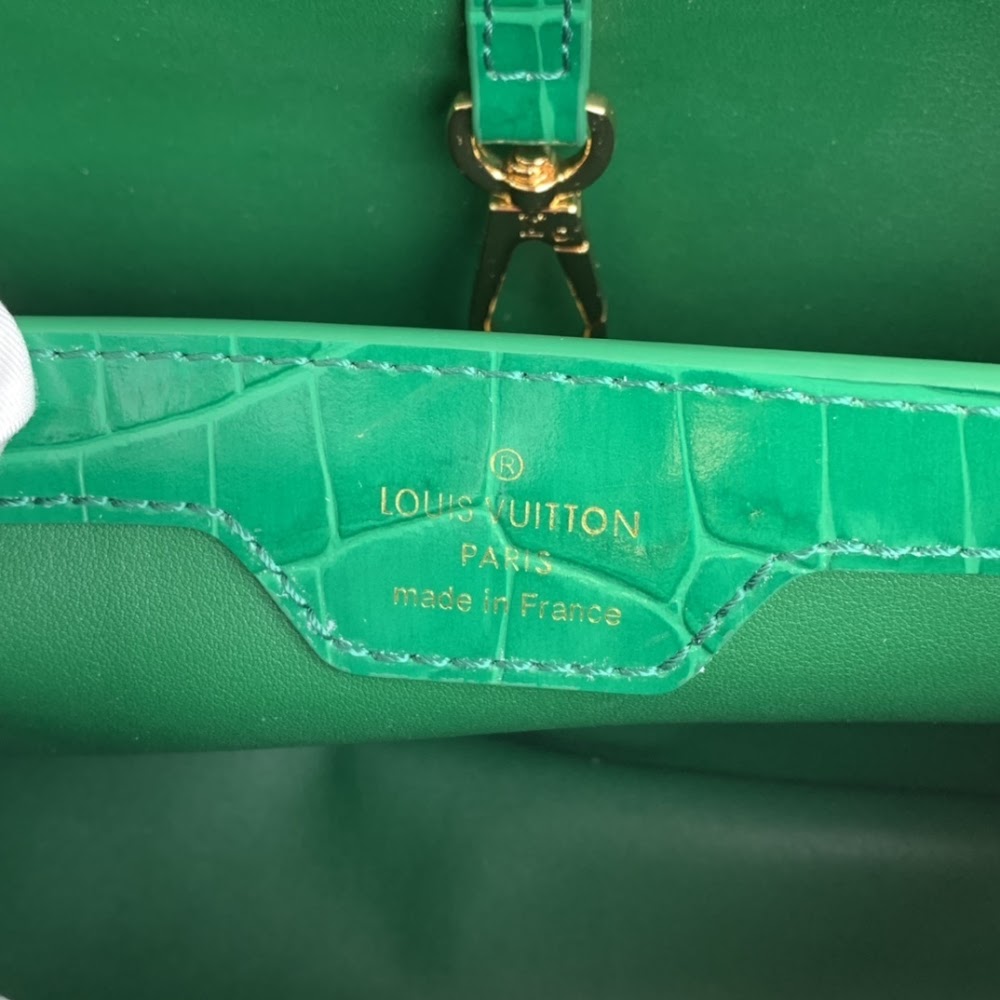 Dragons Bags ln Luxury Bag --60863
