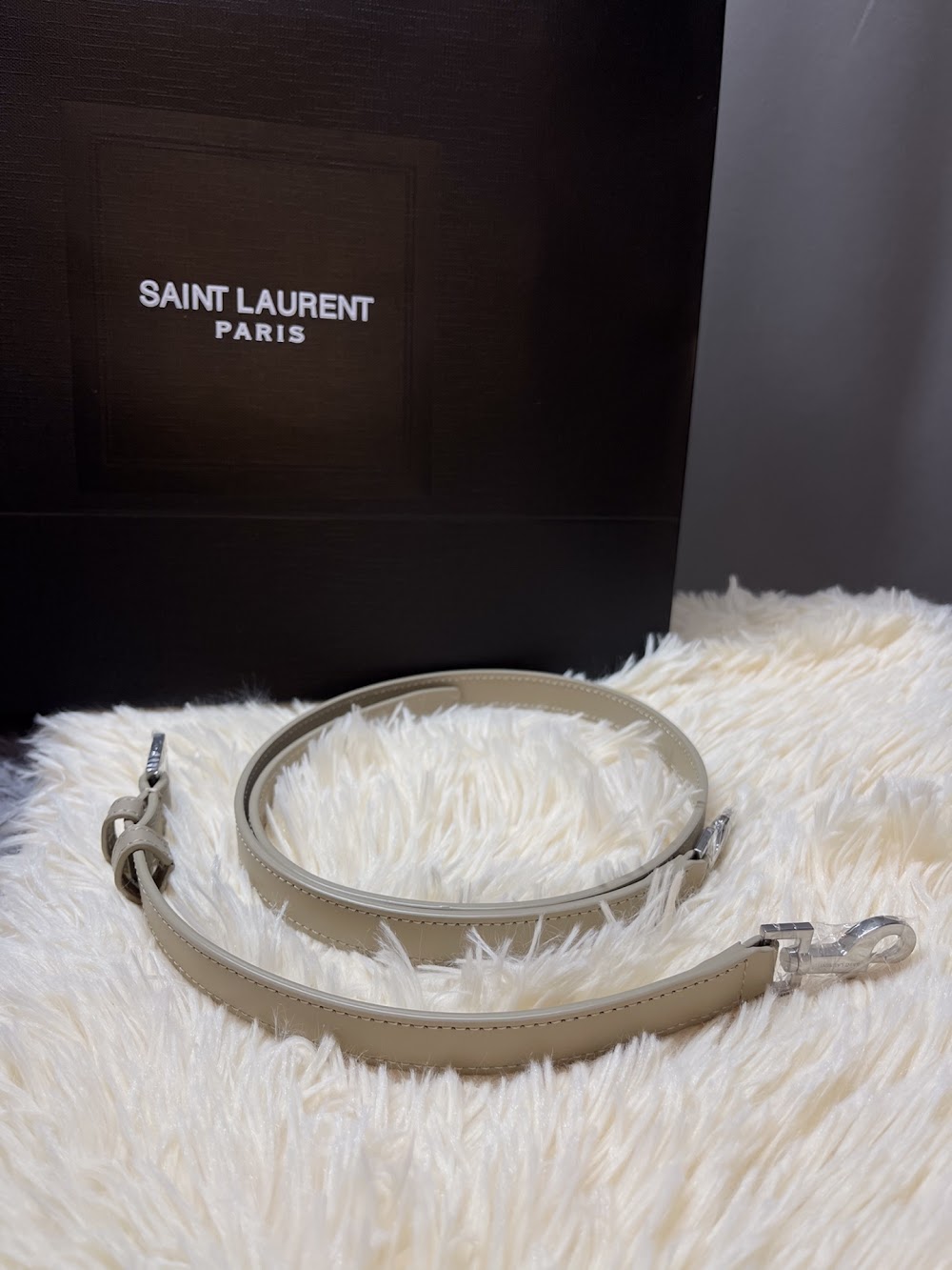 Dragons Bags YSLn Luxury Bag --119071