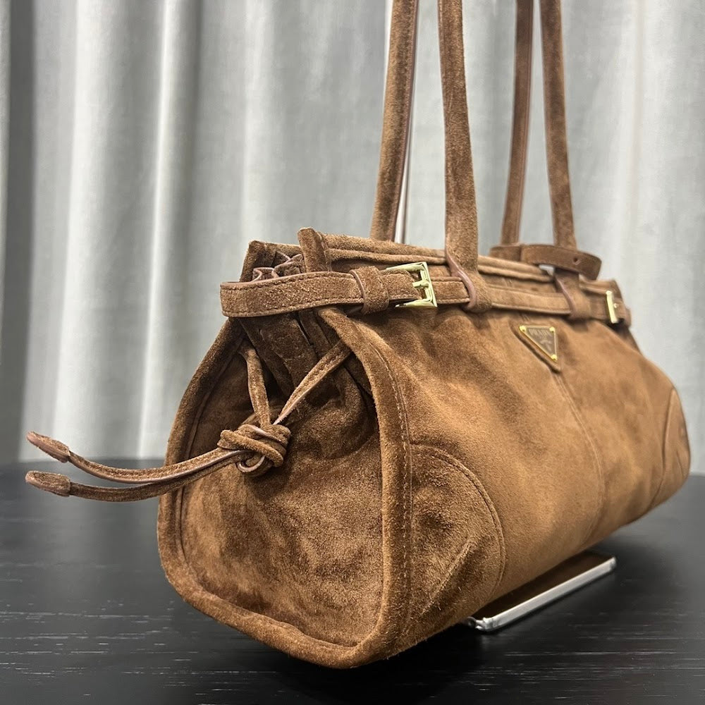 Dragons Bags Pradn Luxury Bag --102012
