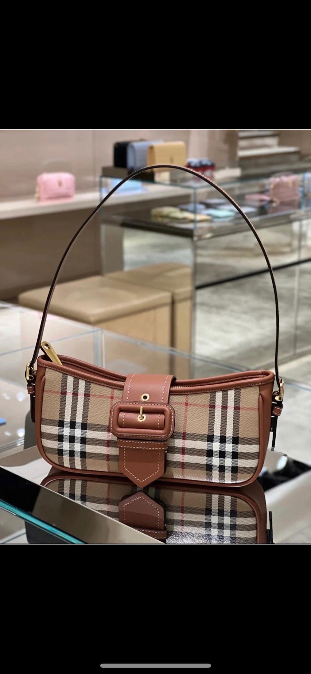 Dragons Bags Burberryn Luxury Bag --92053