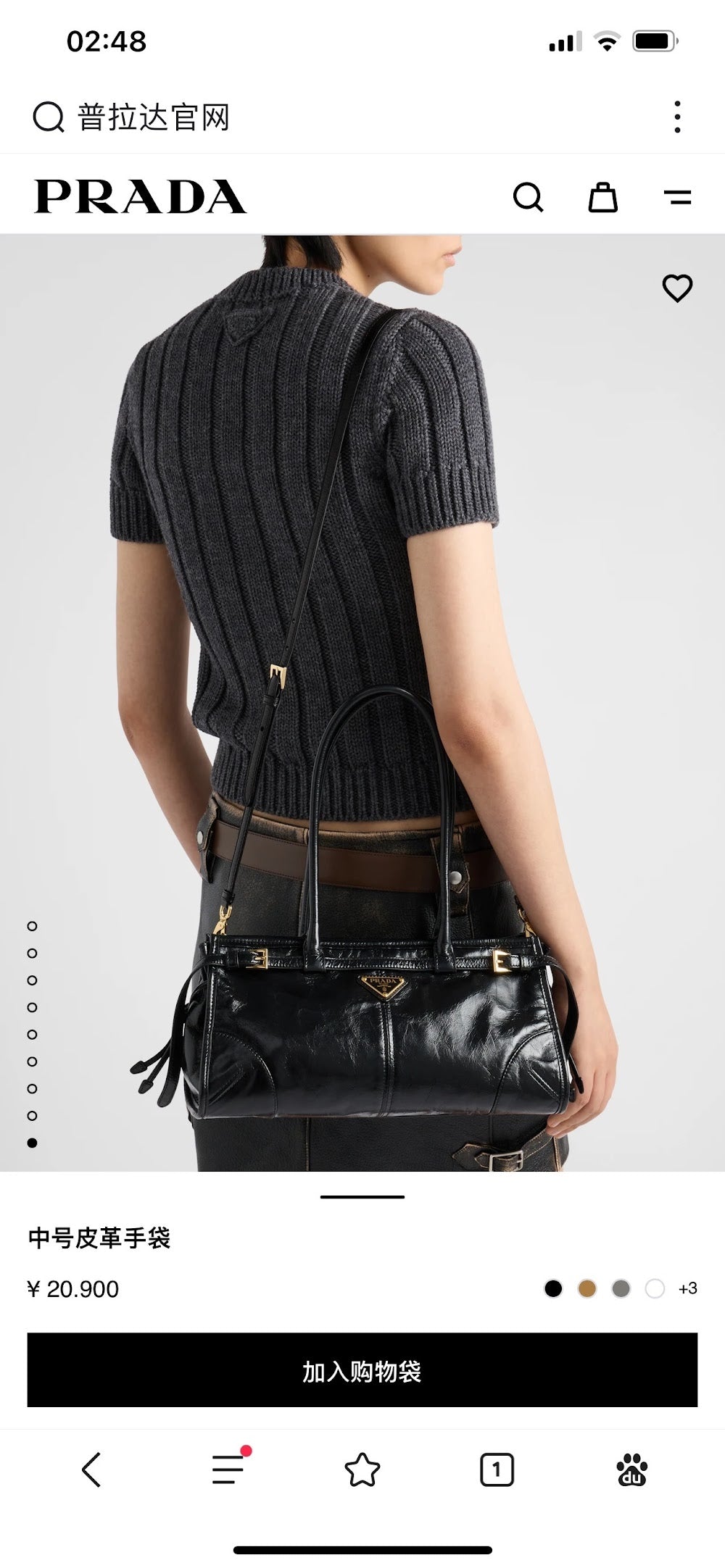 Dragons Bags Pradn Luxury Bag --102607