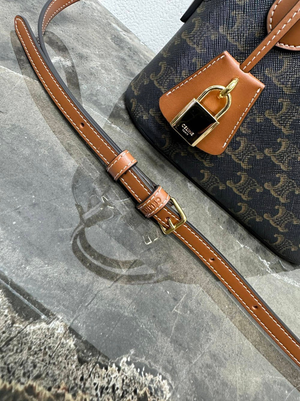 Dragons Bags Celine Luxury Bag --112349