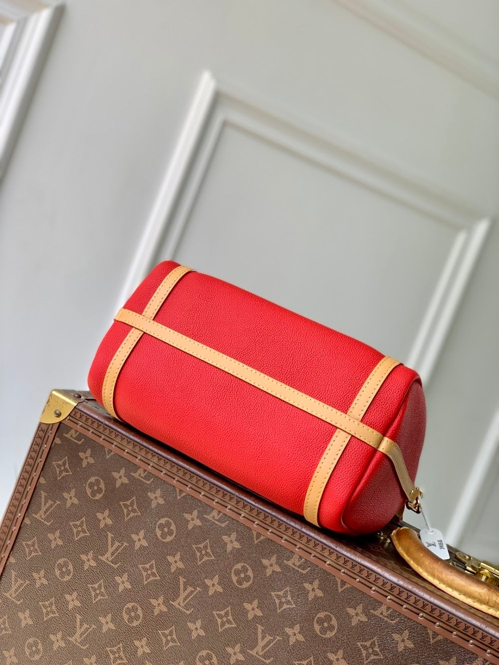 Dragons Bags ln Luxury Bag --96700