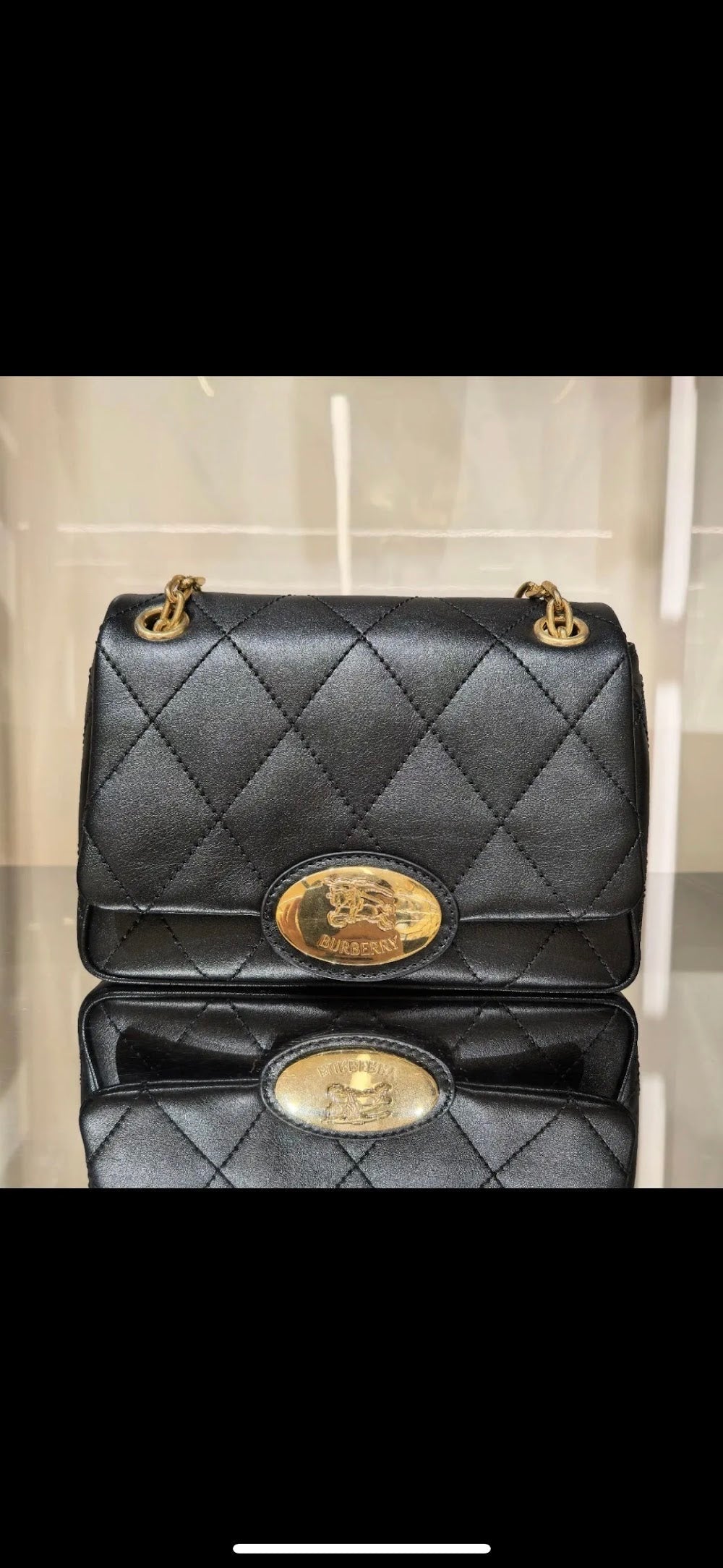 Dragons Bags Burberryn Luxury Bag --92327