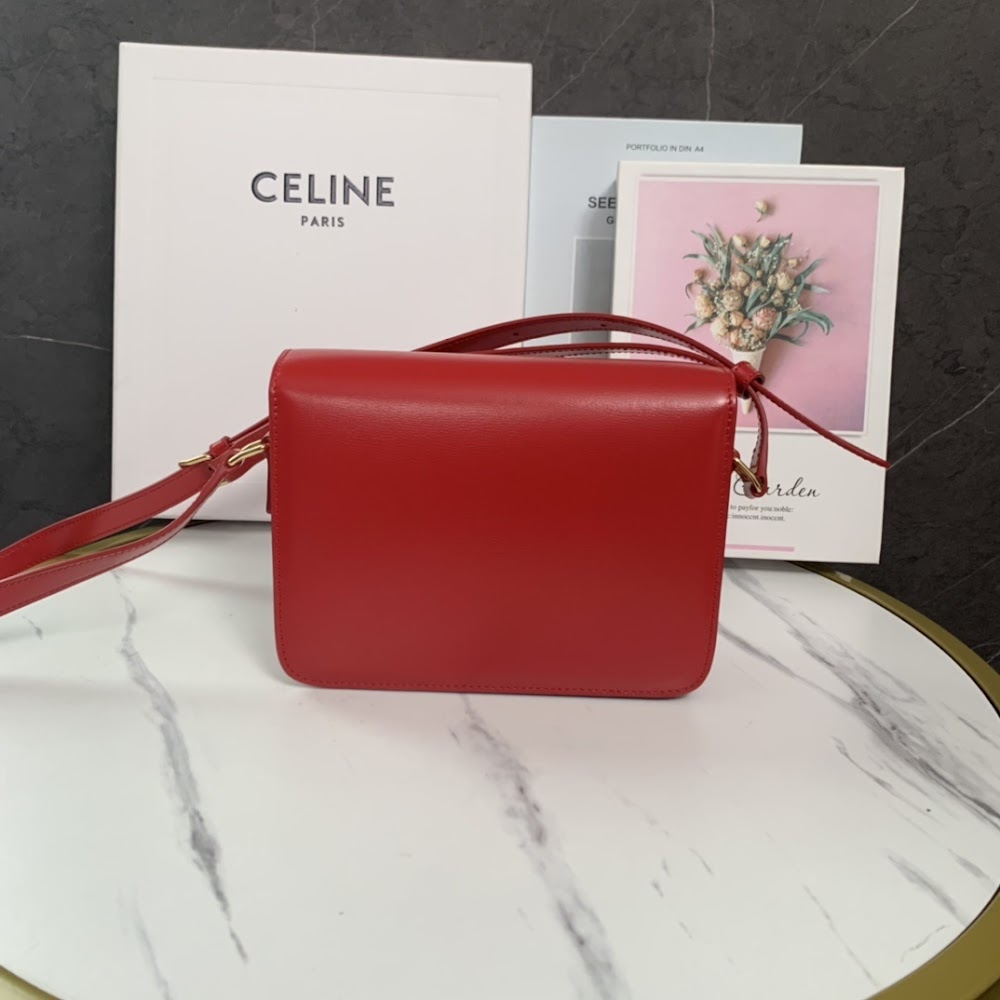 Dragons Bags Celine Luxury Bag --111991
