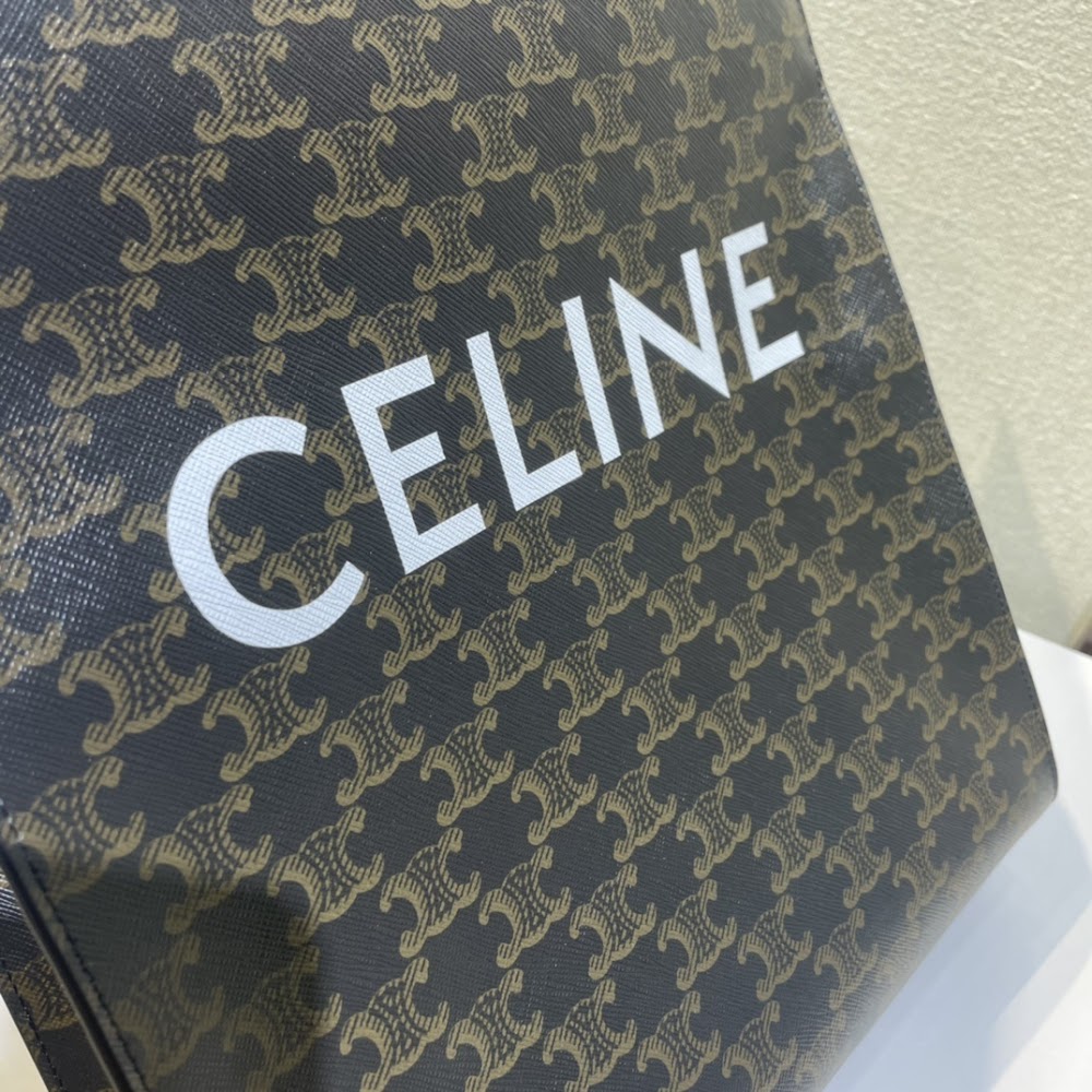 Dragons Bags Celine Luxury Bag --112400